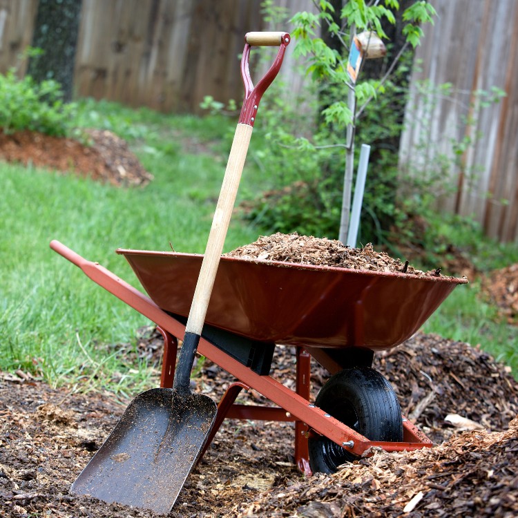 Landscaping and lighting services in Round Rock, TX