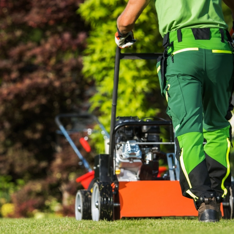 Landscaping and lighting services in Round Rock, TX