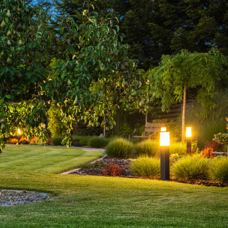 Landscaping and lighting services in Round Rock, TX